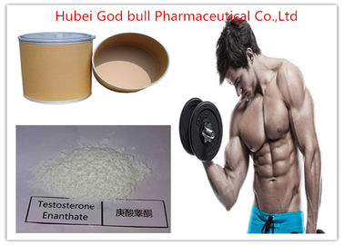Chine Stéroïde anabolisant de masse de testostérone de muscle, stéroïde cru d'Enanthate de testostérone de CAS 315-37-7 fournisseur