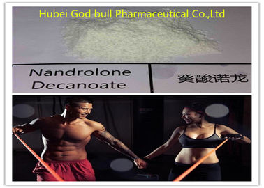 Chine Stéroïde de Decanoate de Nandrolone de Durabol, stéroïdes anaboliques d'injection de prescription fournisseur