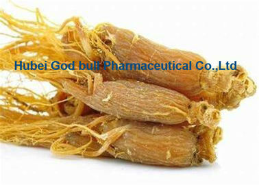 Chine Extrait rouge jaune-clair nourrissant de ginseng de Panaxoside de poudre de fines herbes d'extrait fournisseur