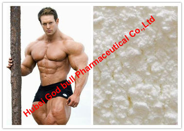 Chine Assy pharmaceutique de stéroïde anabolisant de testostérone/d'hormone 99% gain de Muslce, ISO9001 fournisseur