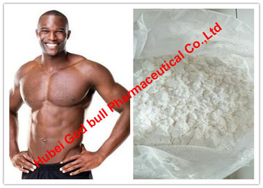 Chine Testostérone Undecanoate/bas stéroïde anabolisant de testostérone avec la pureté de 99%, poudre blanche fournisseur