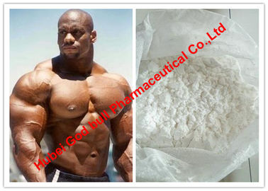 Chine Testostérone blanche de gain de muscle de poudre/stéroïdes anabolisant androgènes MF C30H48O3 fournisseur