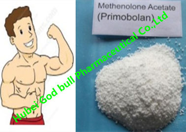 Chine Muscle androgène Primobolan des stéroïdes anabolisant 207-097-0 d'acétate de Methenolone fournisseur