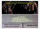 360-70-3 stéroïde de Deca Durabolin, stéroïdes anabolisant médicaux de bâtiment de muscle fournisseur