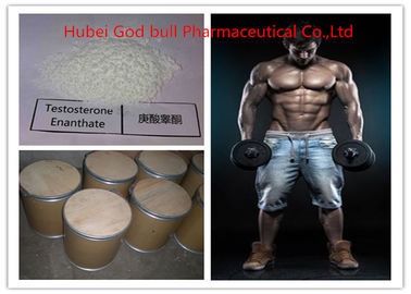Chine 315-37-7 stéroïde anabolisant pharmaceutique de testostérone, poudre juridique d'Enanthate de testostérone fournisseur