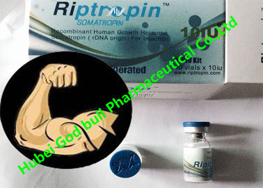 Chine Bodybuilding 100iu de Hgh d'hormone de croissance humaine de Riptropin/livraison coffre-fort de kit fournisseur