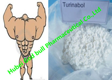Chine Les stéroïdes anaboliques d'androgène de poudre orale de Turinabol réduisent le cycle de muscle de SHBG fournisseur