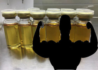 Chine Examinez la testostérone mélangée par stéroïdes anabolisant injectables du mélange 500 500mg/ml fournisseur
